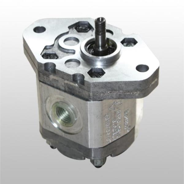 BKP0,5A1-D1,5 - GR 0.5 SERİSİ DİŞLİ POMPALAR (alüminyum kapak)