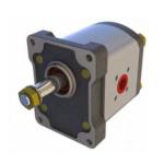 1PN Serisi 19.2 CC Pompa(1PN.192.C-AB11)