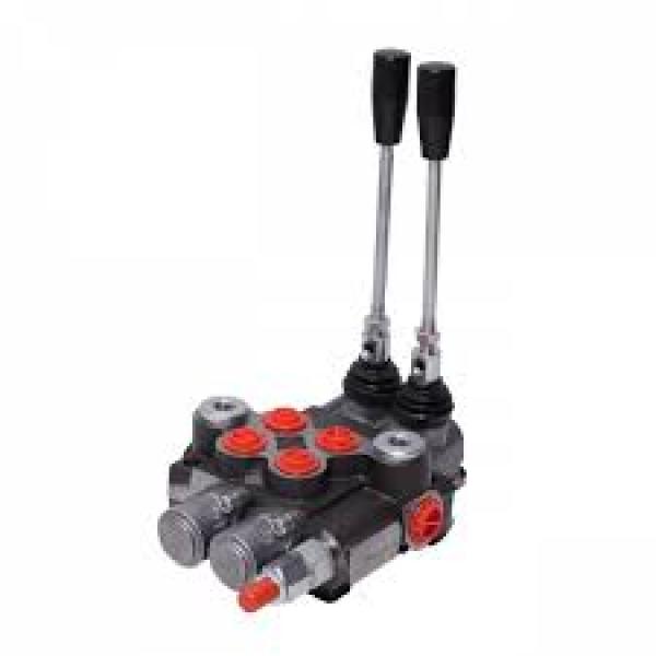 İkili Kumanda Kolu 120 LT (2P120)