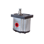 2P1 Serisi 3180 Pompa (2P1.3180SC-ABP1(Düz Milli)-2P1.3180.C-AB7(Konik Milli))